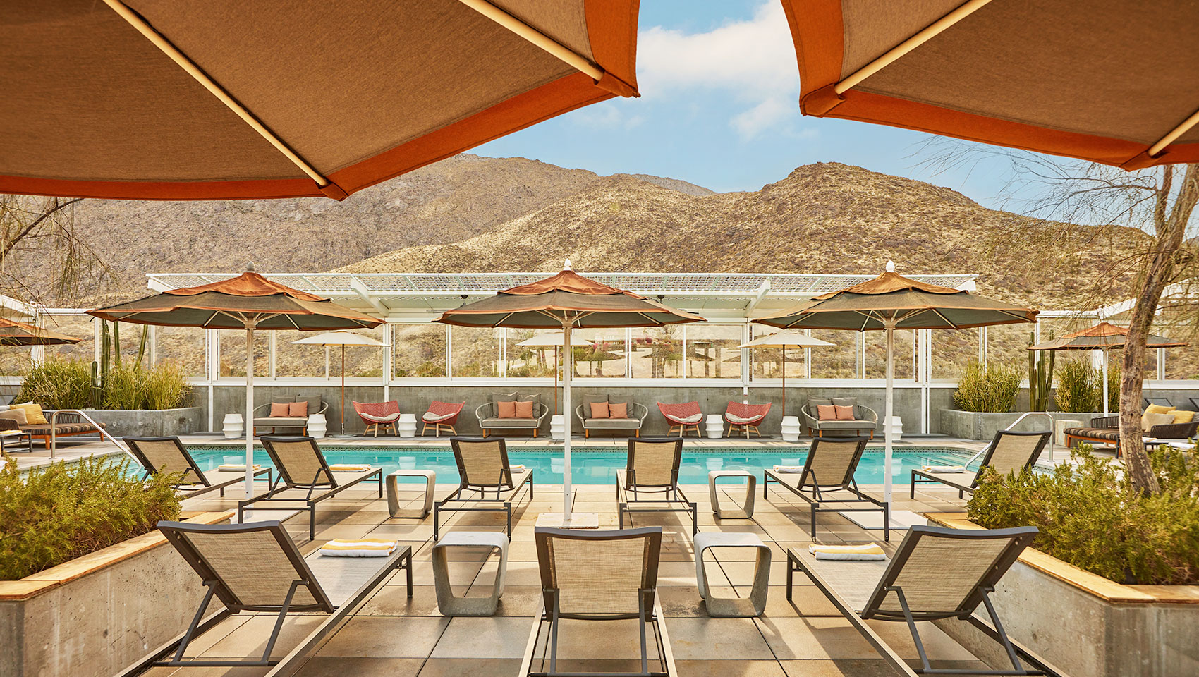 palm springs hotel rooftop pool